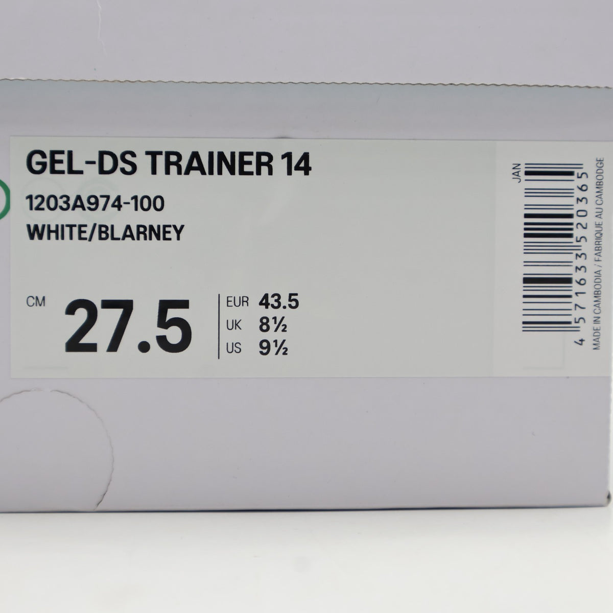 1203A974-100 Hidden NY Asics Gel-DS Trainer 14 Dawn (Men's)