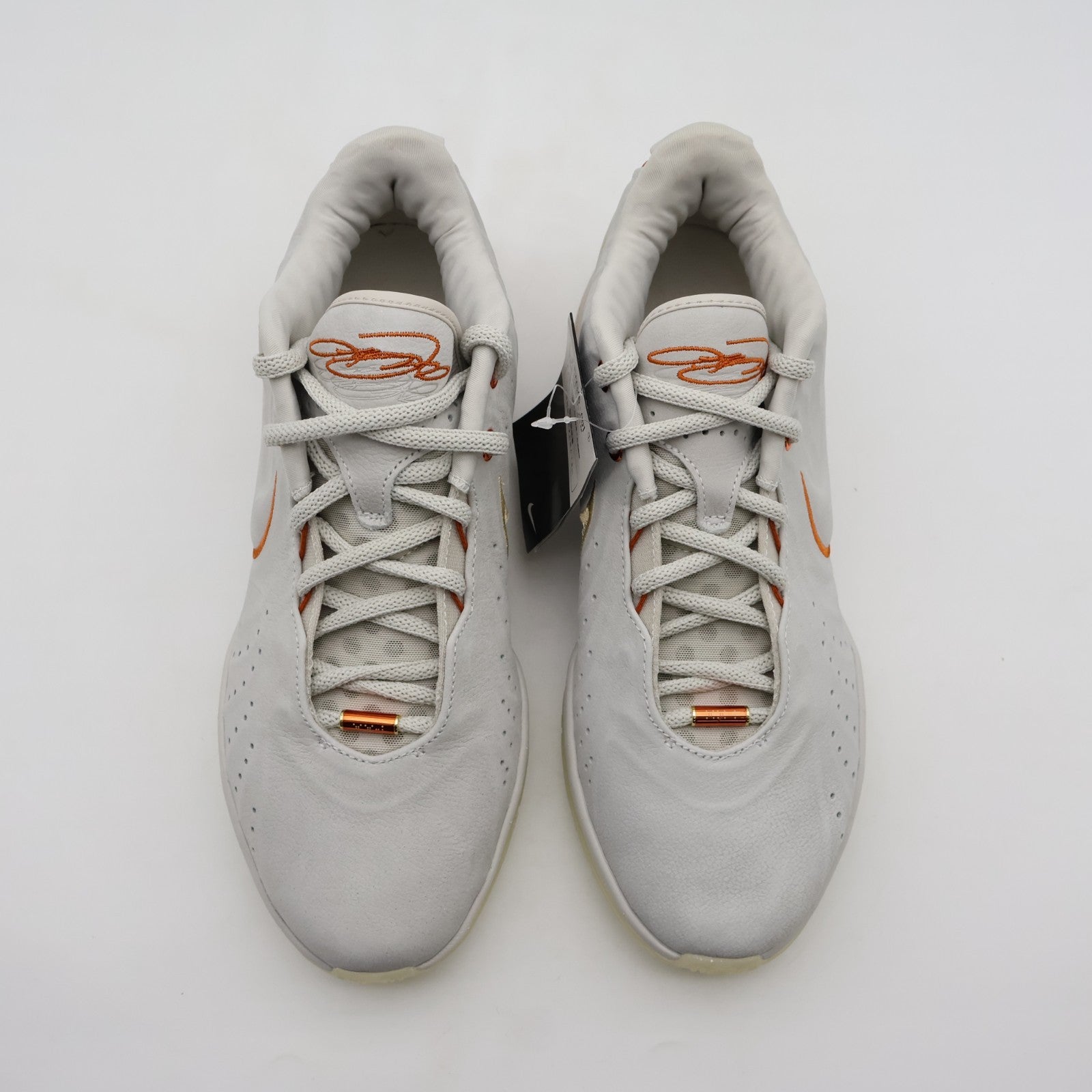 FV2345-001 Nike LeBron 21 Akoya (Men's)