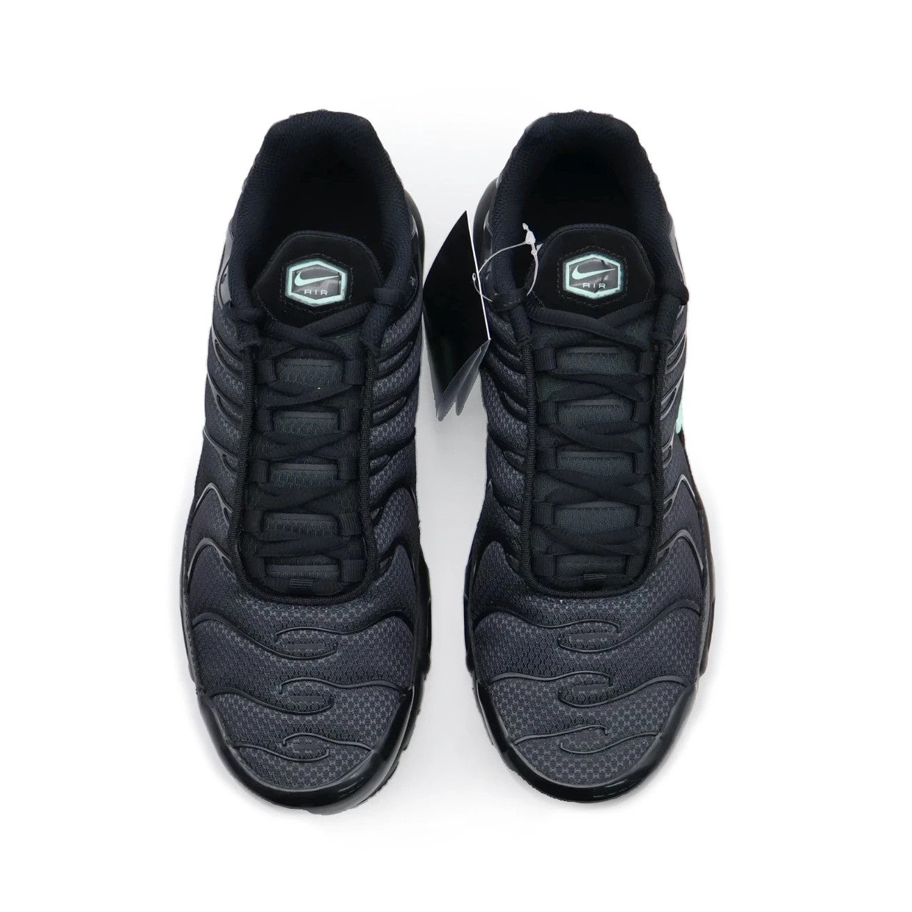 DM0032-029 Nike Air Max Plus Black Mint (Men's)