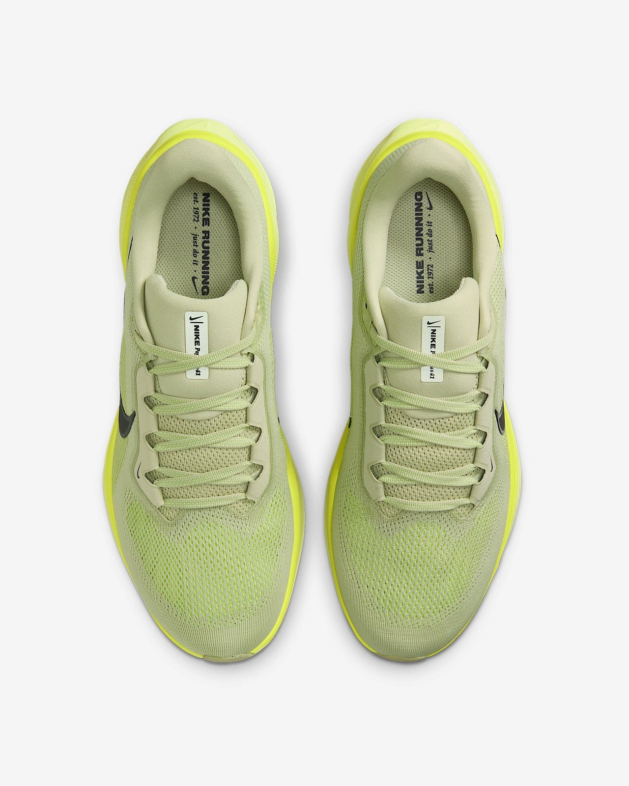 FD2722-303 Nike Pegasus 41 Road Running Shoes (Men's)