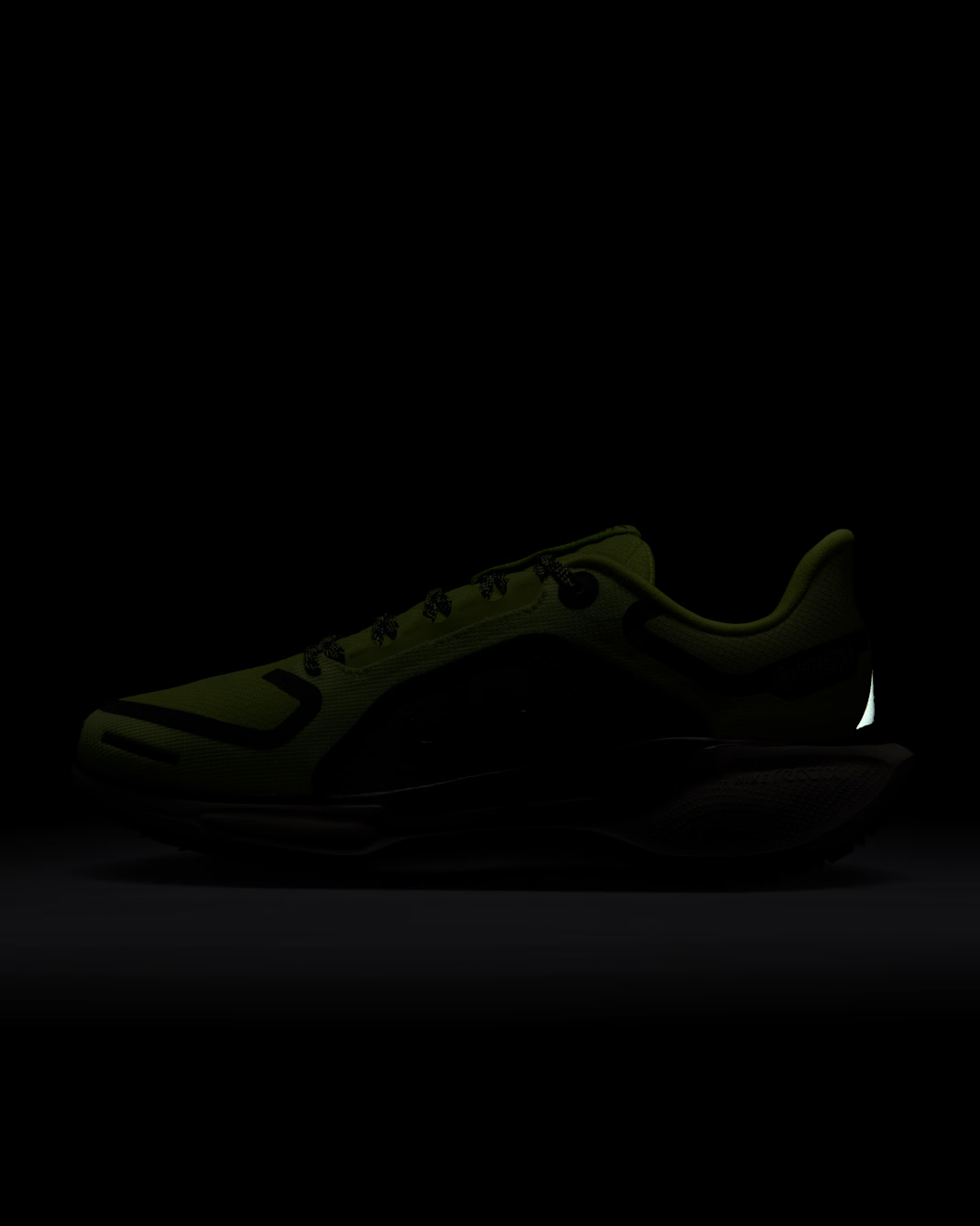 FQ1357-300 Nike Pegasus 41 GORE-TEX Cyber Light Lemon Twist Phantom (Women's)