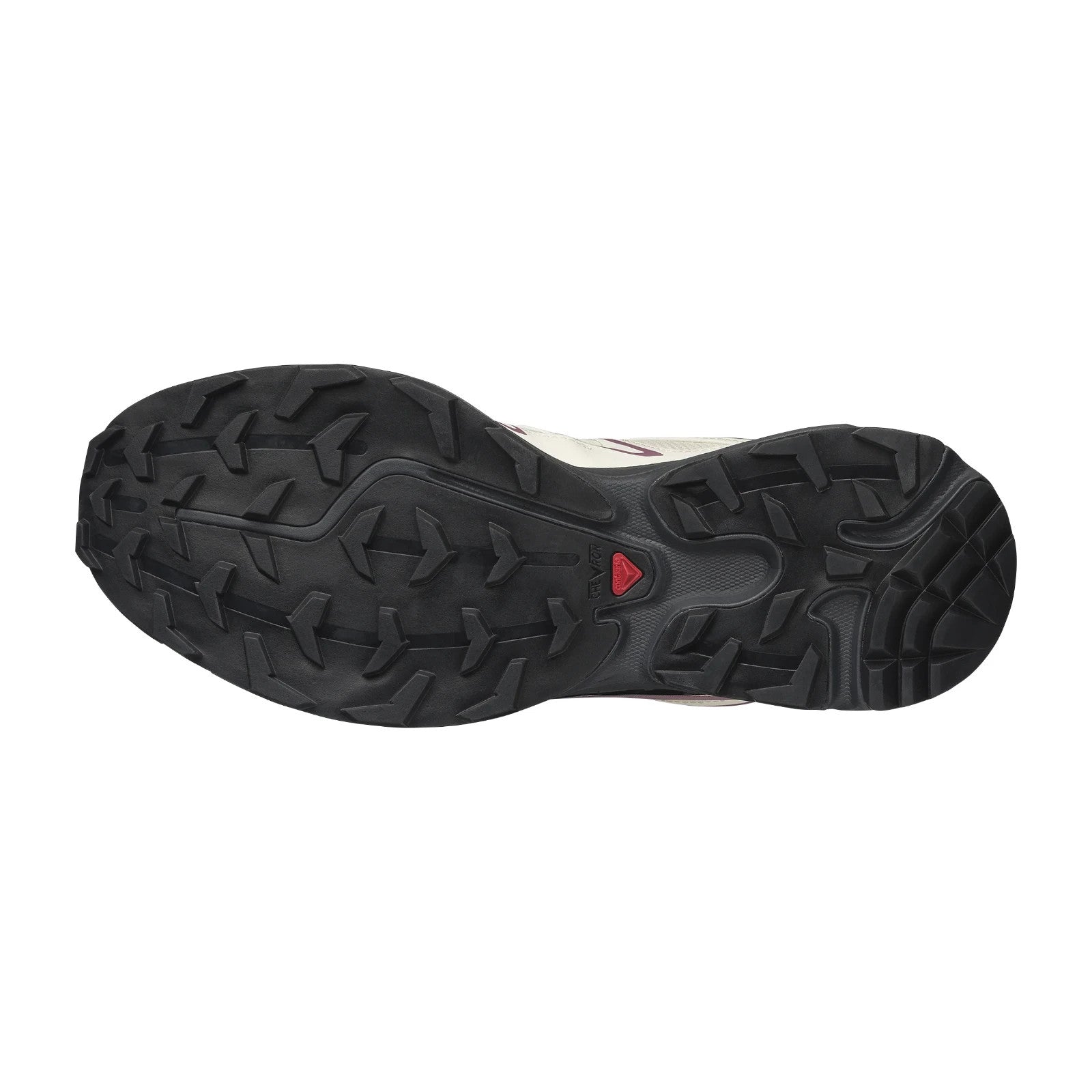 L47992400 Salomon XT-6 Expanse Vanilla Ice Dusky Orchid (Men's)