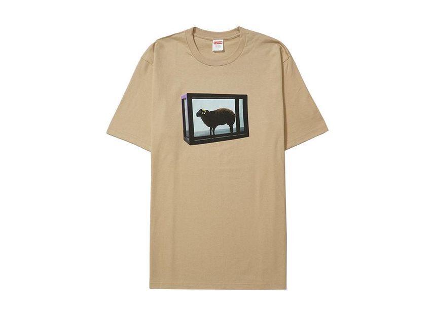 Supreme Damien Hirst Tee Khaki