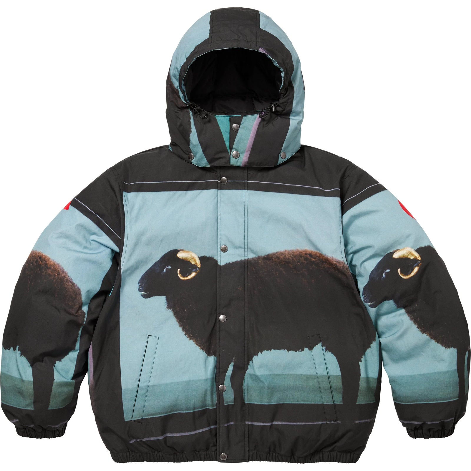 Supreme Damien Hirst Down Puffer Jacket Black