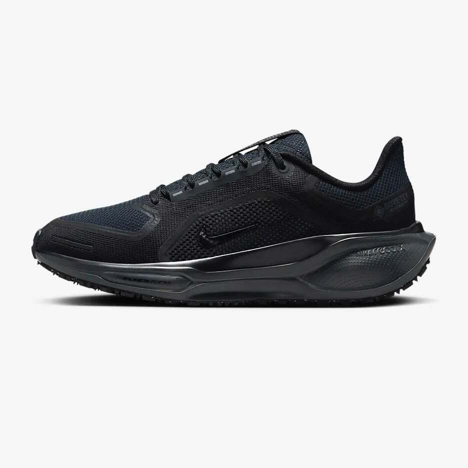 FQ1357-001 Nike Pegasus 41 GORE-TEX Black Anthracite (Women's)