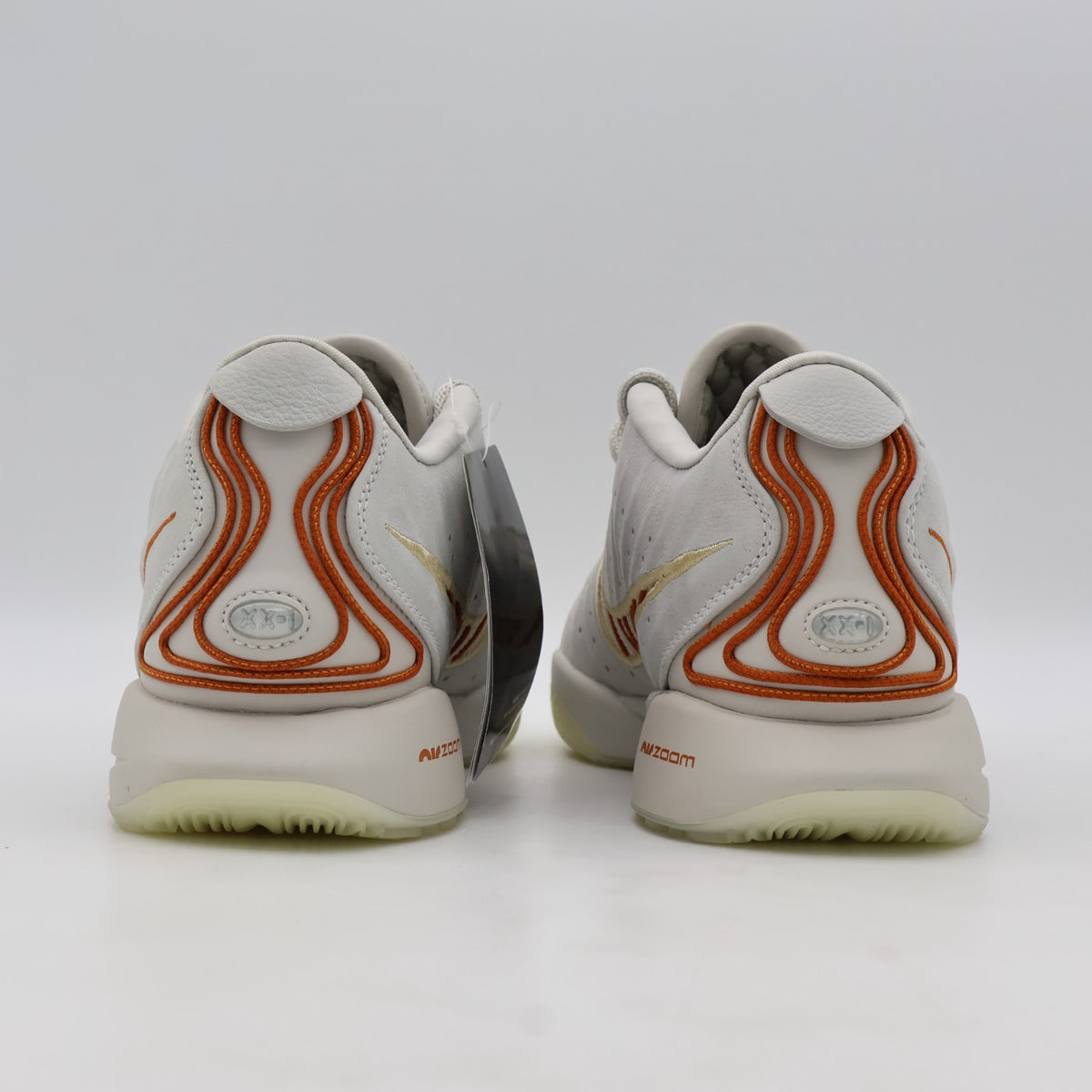 FV2345-001 Nike LeBron 21 Akoya (Men's)