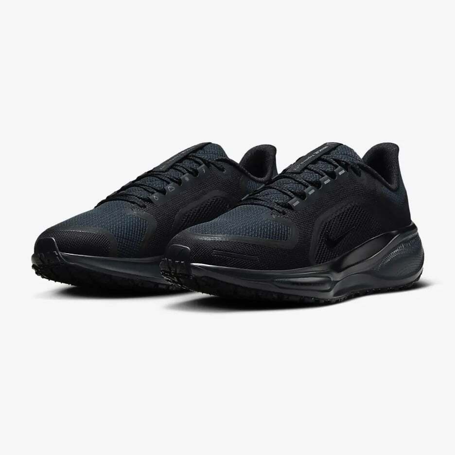 FQ1357-001 Nike Pegasus 41 GORE-TEX Black Anthracite (Women's)