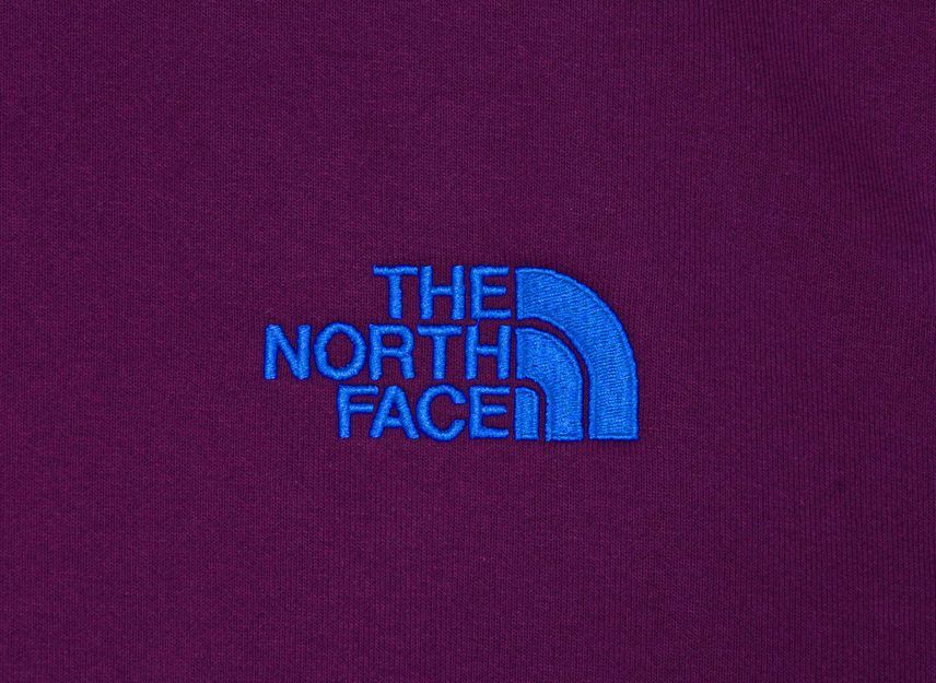 The North Face Kaws Hoodie Purple Blue