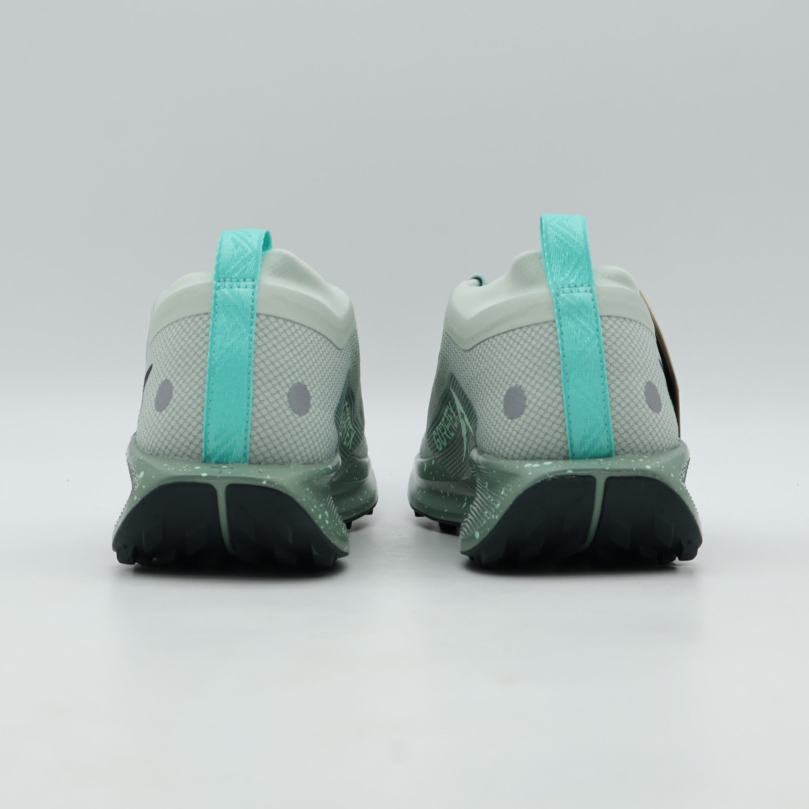 FQ0908-013 Nike Pegasus Trail 5 GORE-TEX Light Silver Clay Green Mint Foam (Men'