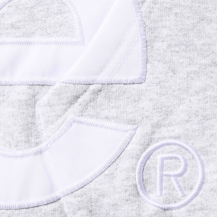 Supreme Big Logo Zip Up Hooded Sweatshirt Ash Grey