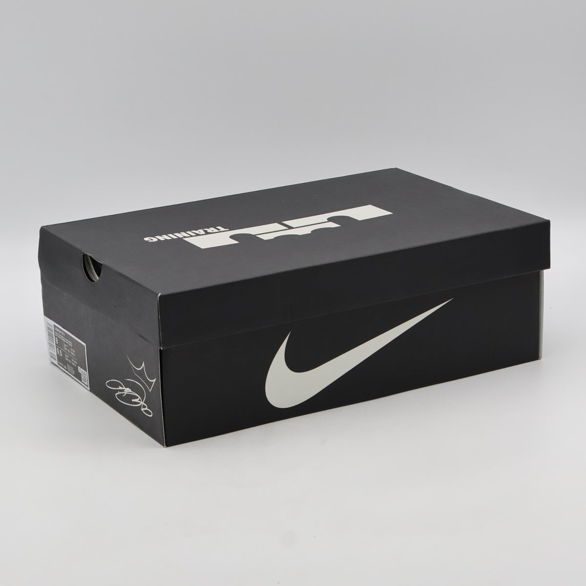 FJ6151-006 LeBron TR 1 Workout Shoes Wolf Grey White Bronze Metallic (Men's)