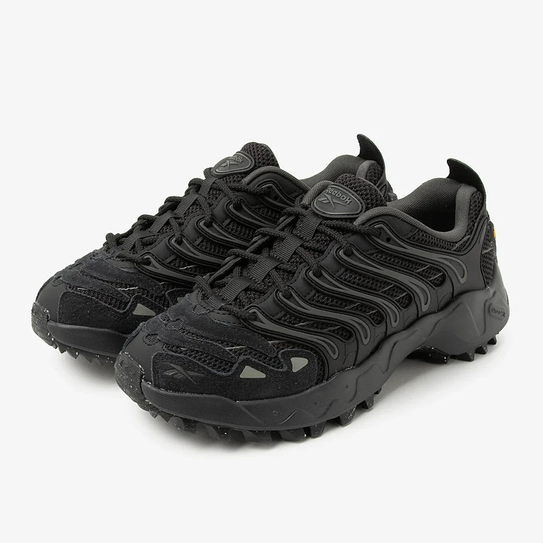 100269210 Reebok TRAILZILLO DMX (Men's)