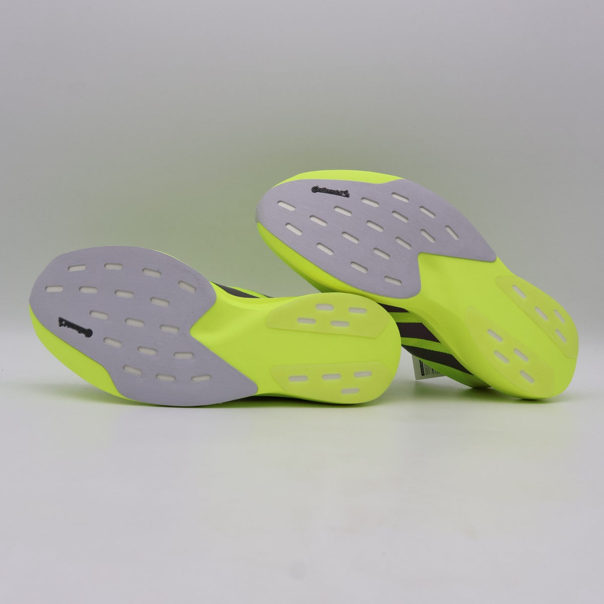 JR2024 adidas Adizero Evo SL Solar Yellow Aurora Plum Powder Plum (Men's)
