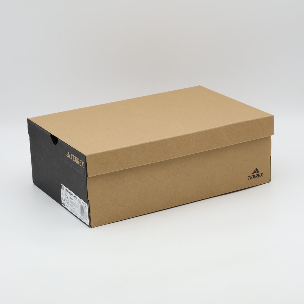 JR3980 adidas Terrex Skychaser AX5 Mid GORE-TEX Hiking (Men's)