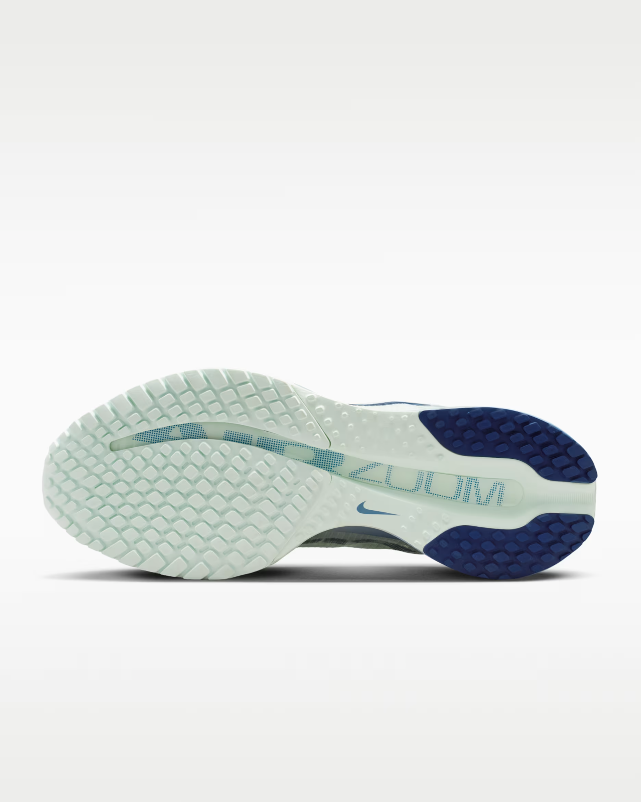 HQ2593-301 Nike Pegasus Premium "Barely Green/Work Blue" (Women's)