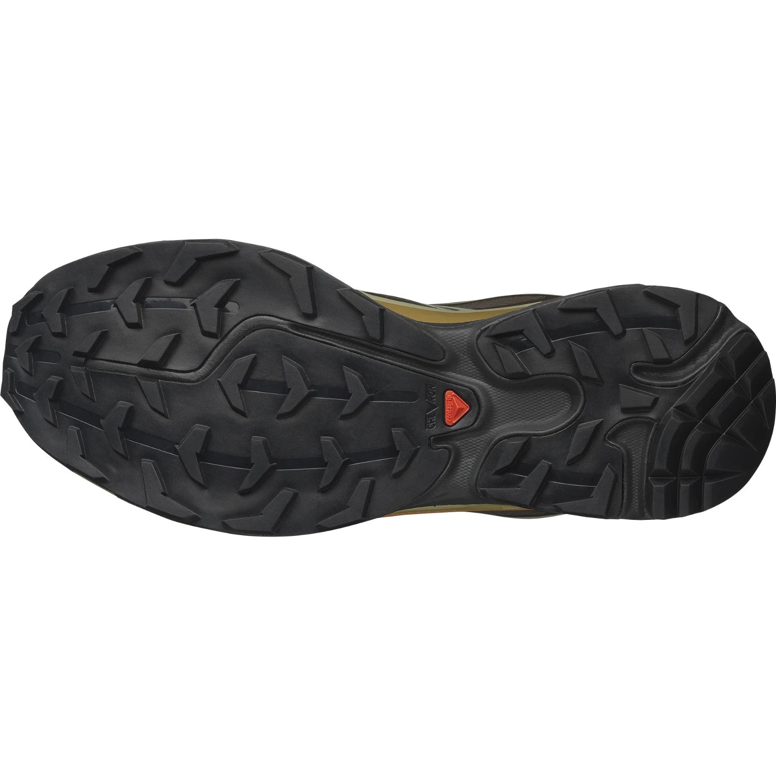 L49202100 Salomon XT-6 GORE-TEX DELICIOSO TEA BRILLIANT OLIVE (Men's)