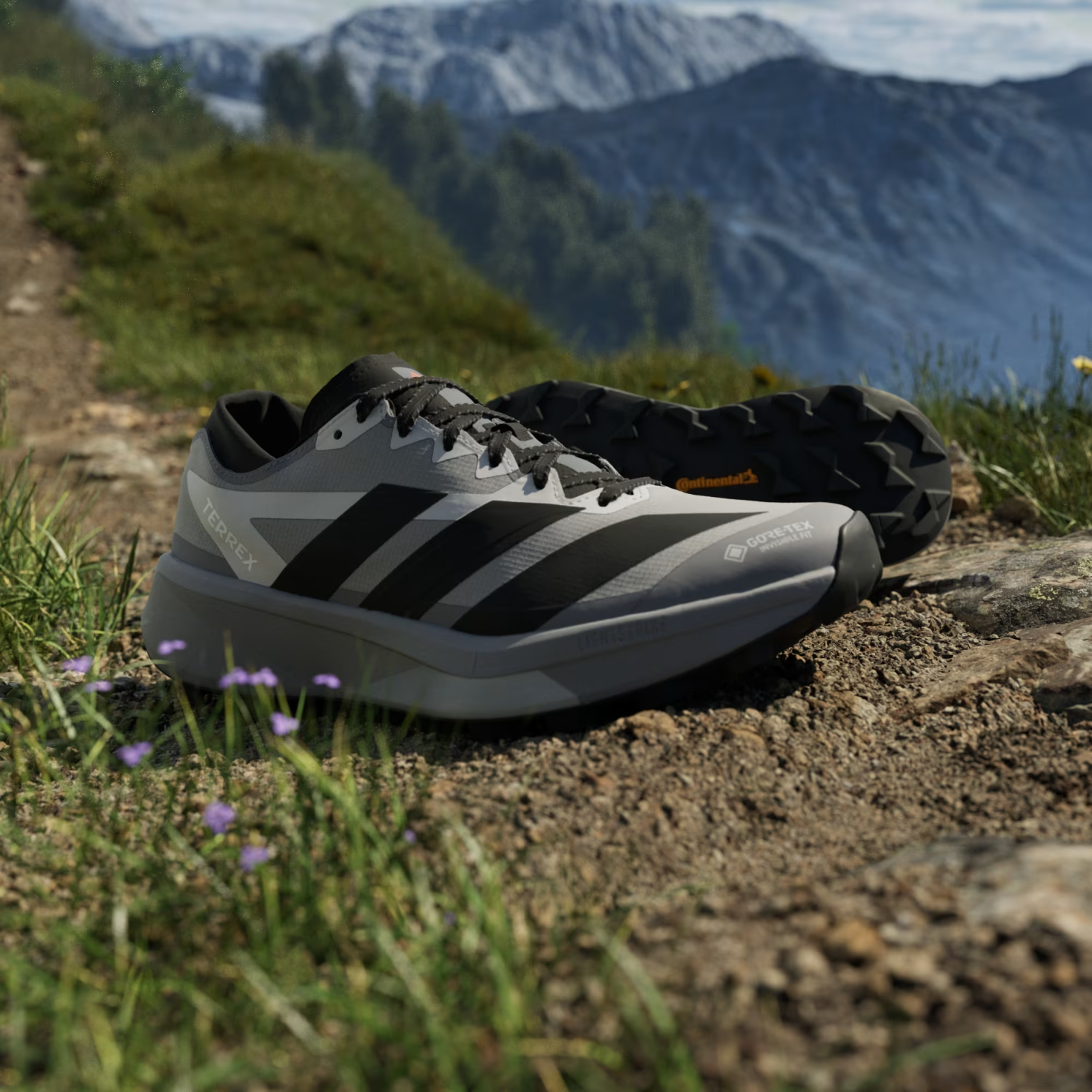 HQ5090 adidas Terrex Agravic GORE-TEX 2 Trail Running (Men's)