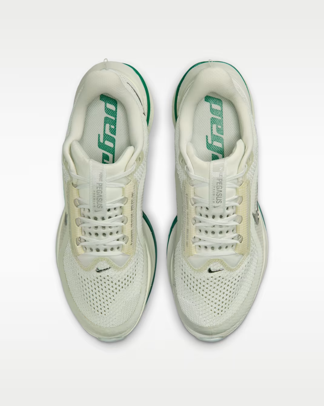 HQ2593-008 Nike Pegasus Premium Sea Glass Malachite (Women's)