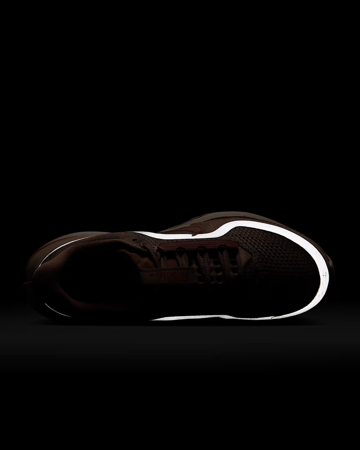 HQ2593-603 Nike  Pegasus PRM Metallic Rose Gold (Women's)