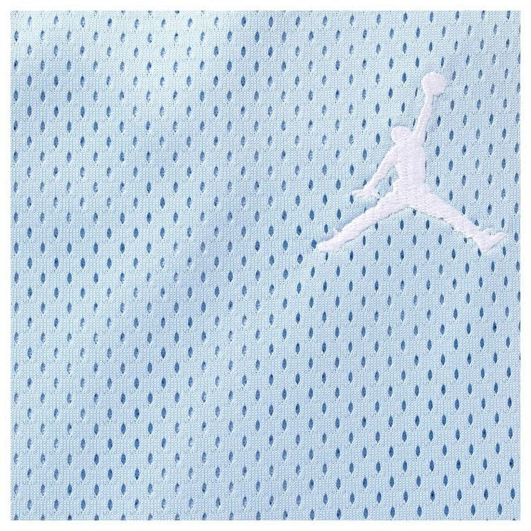 Supreme x Jordan Short Light Blue