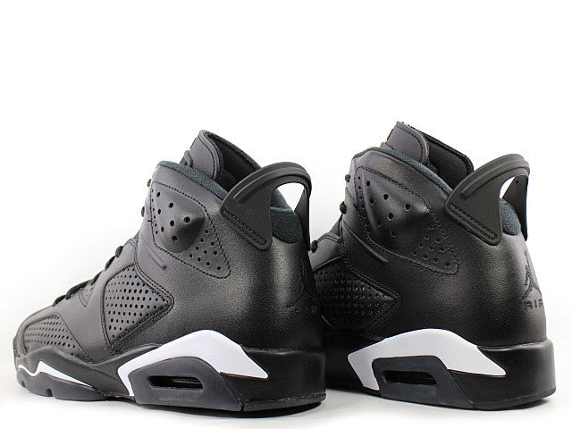384664-020 Nike Air Jordan 6 Retro "Black Cat" (Men's)