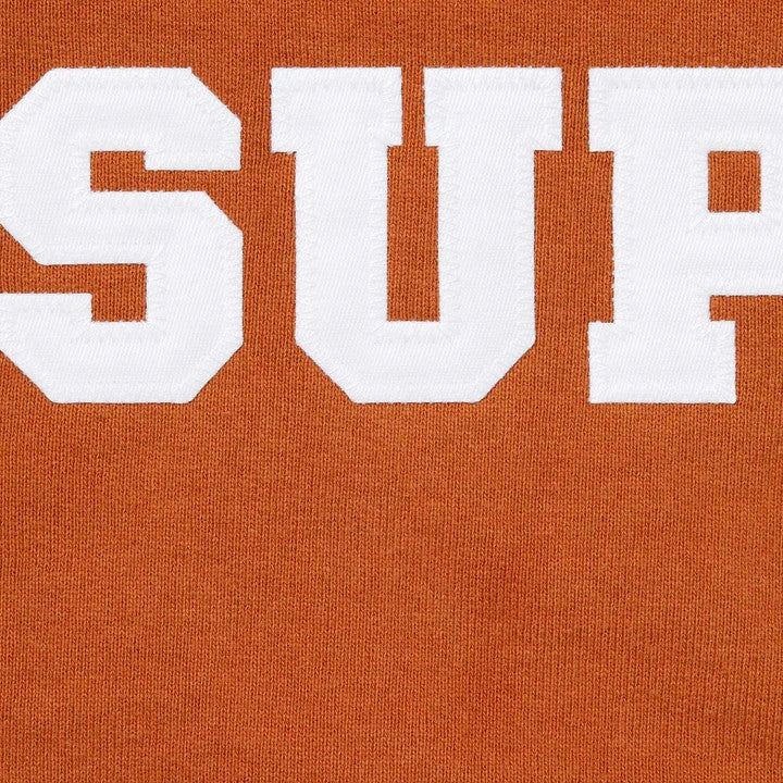 Supreme Collegiate Applique Zip Up Hooded Sweatshirt Rust