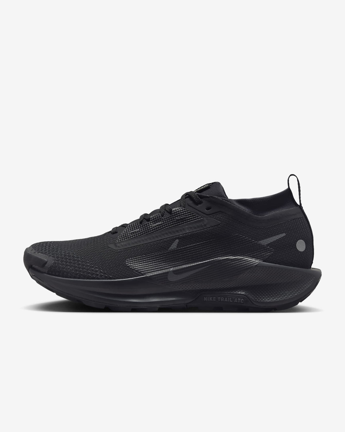 FQ0908-002 Nike Pegasus Trail 5 GORE-TEX Black Anthracite (Men's)