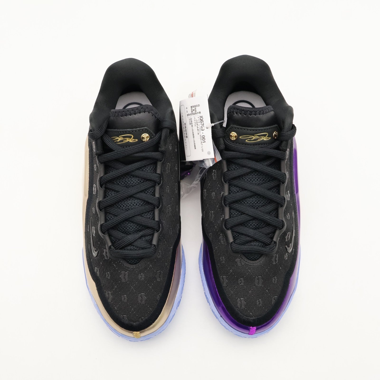 IQ6709-001 Nike GS LeBron 23 Chosen One