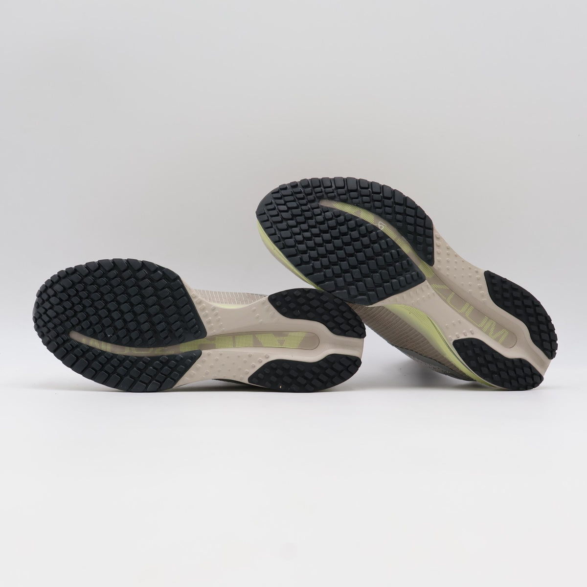 IQ3439-211 Nike Pegasus Premium Moon Particle Limelight Bust Grey (Women's)