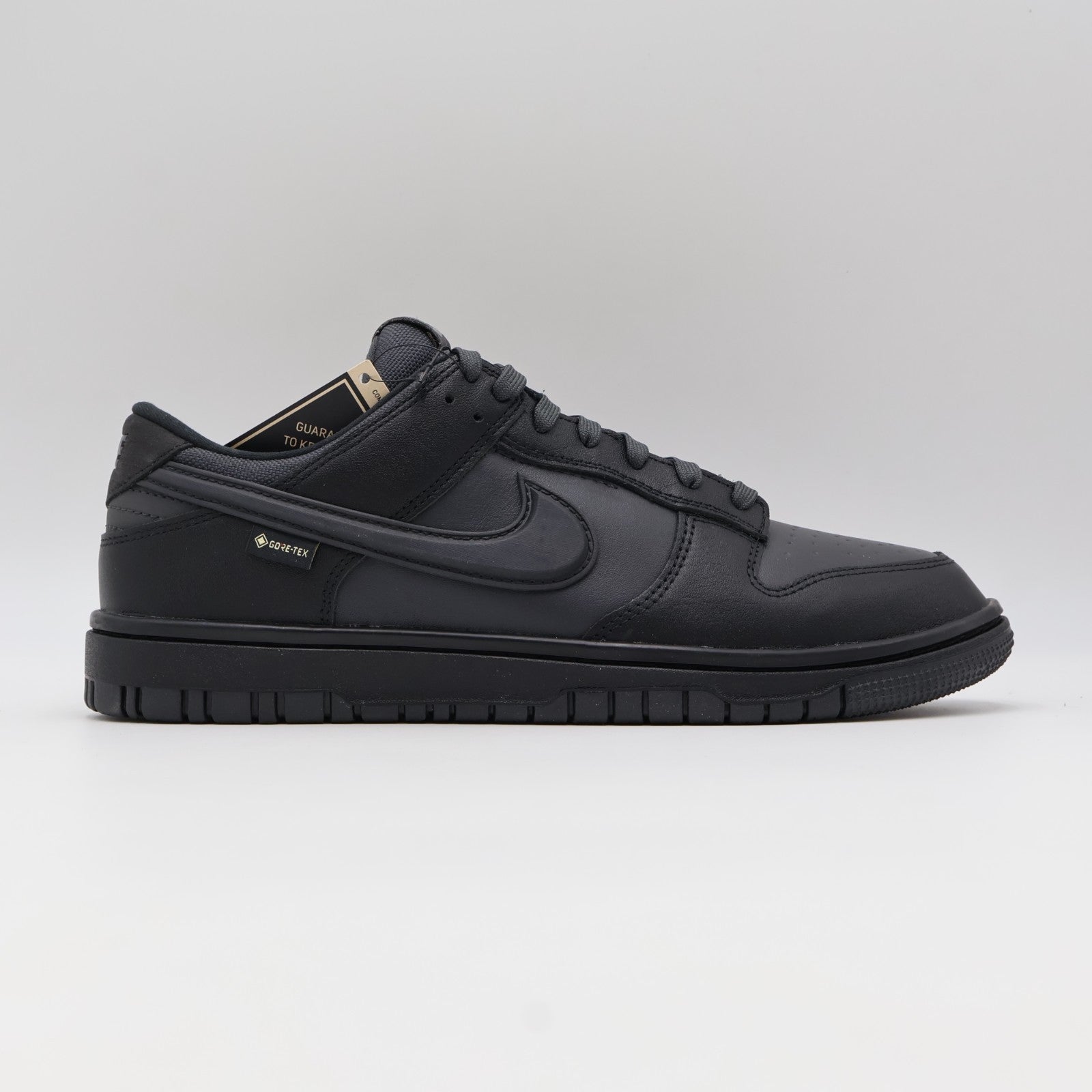 HQ2053-001 Nike Dunk Low GORE-TEX Triple Black (Men's)
