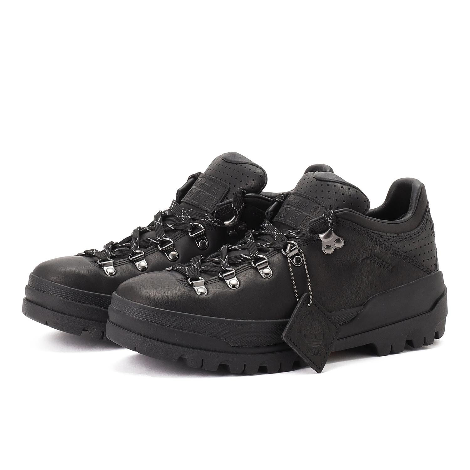 A418GW02 Timberland World Hiker GORE-TEX Hiking Boot Black (Men's)