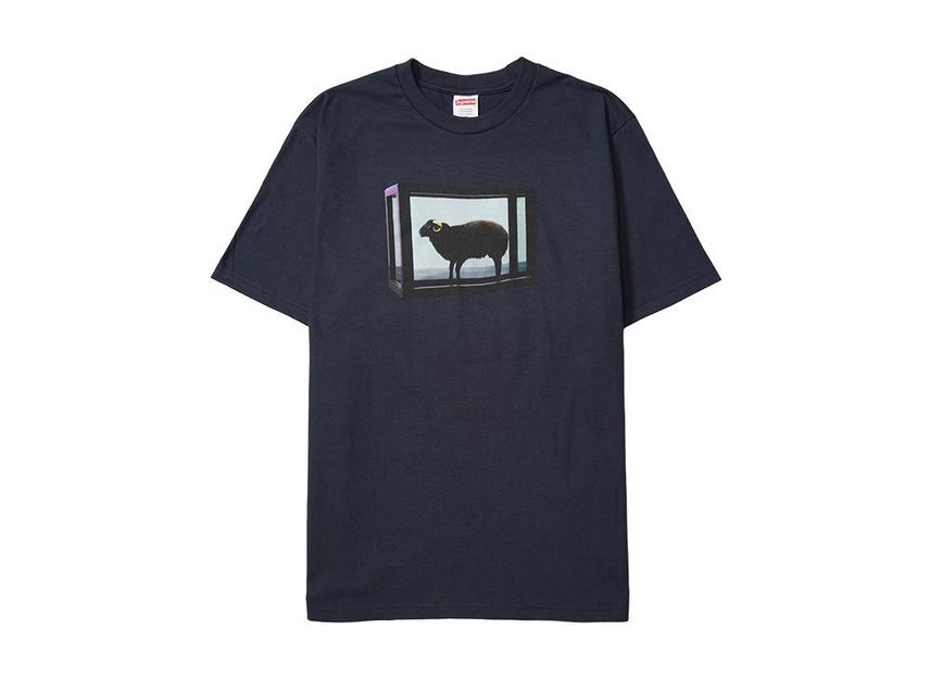 Supreme Damien Hirst Tee Navy