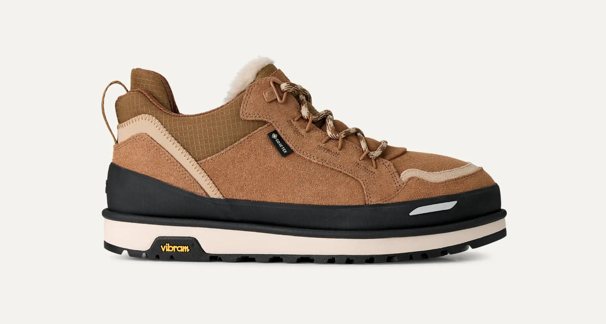 1180512-CHE UGG Lowmel Guard GORE-TEX "Chestnut" (Men's)