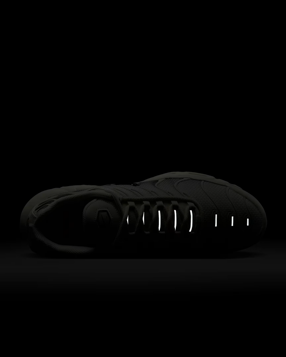 DM0032-106 Nike Air Max Plus Light Orewood Brown (Men's)