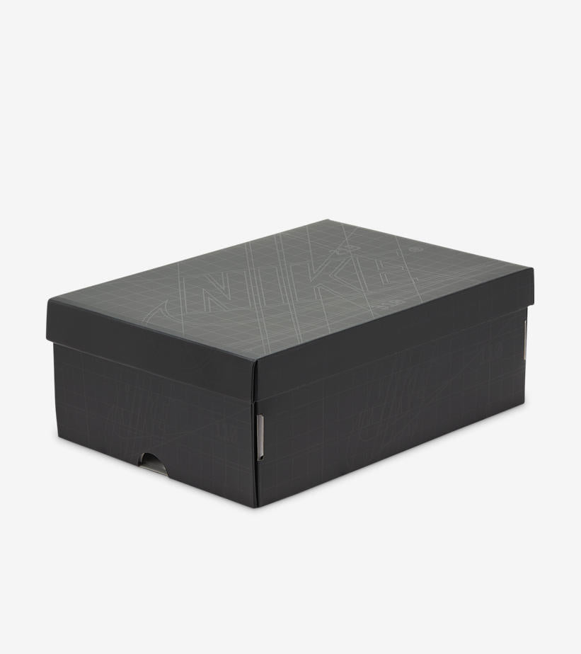 FB9891-001 Nike Air Jordan 1 High Greyscale (Women's)