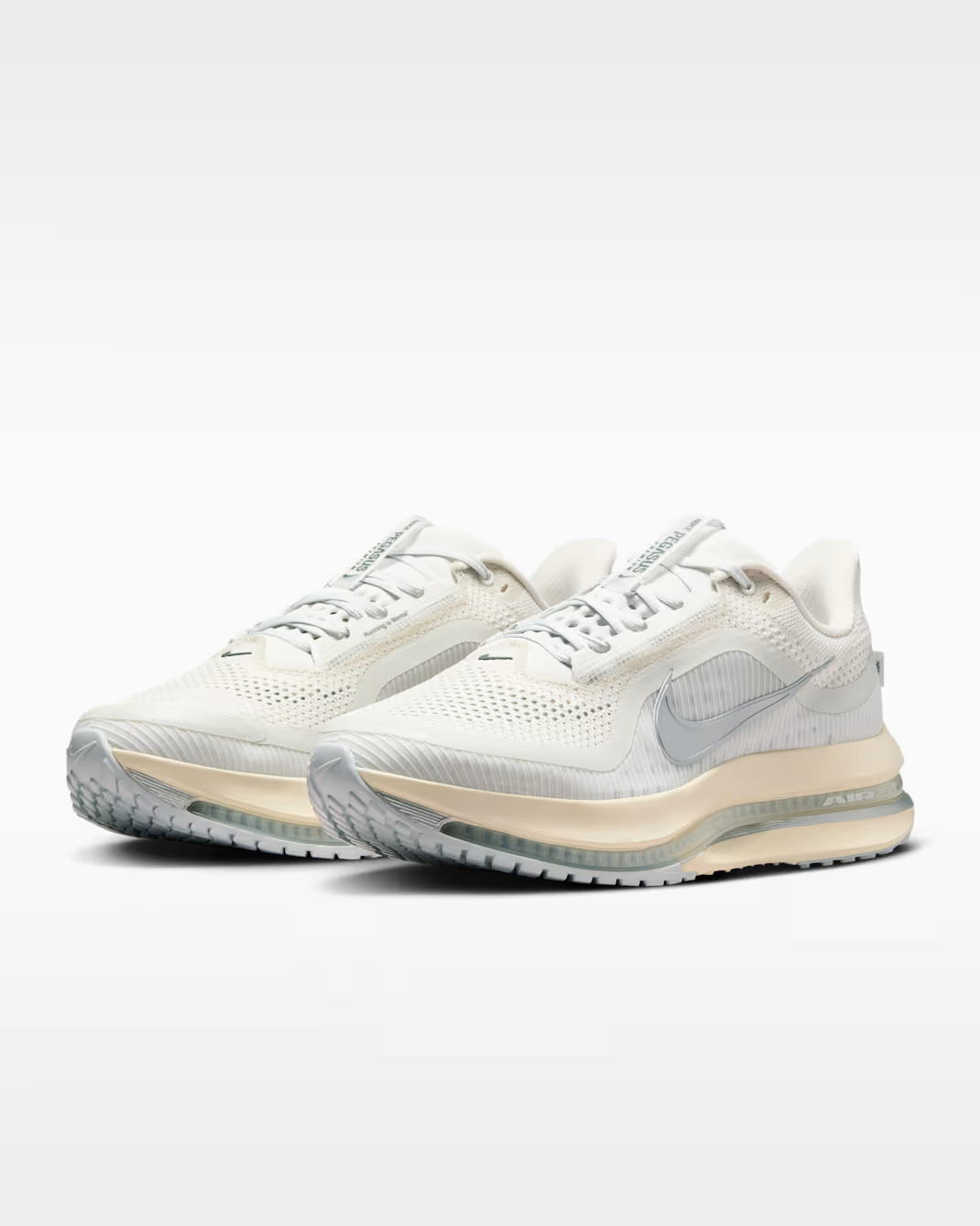 IQ0307-094 Nike Pegasus Premium Running is Mental (Men's)