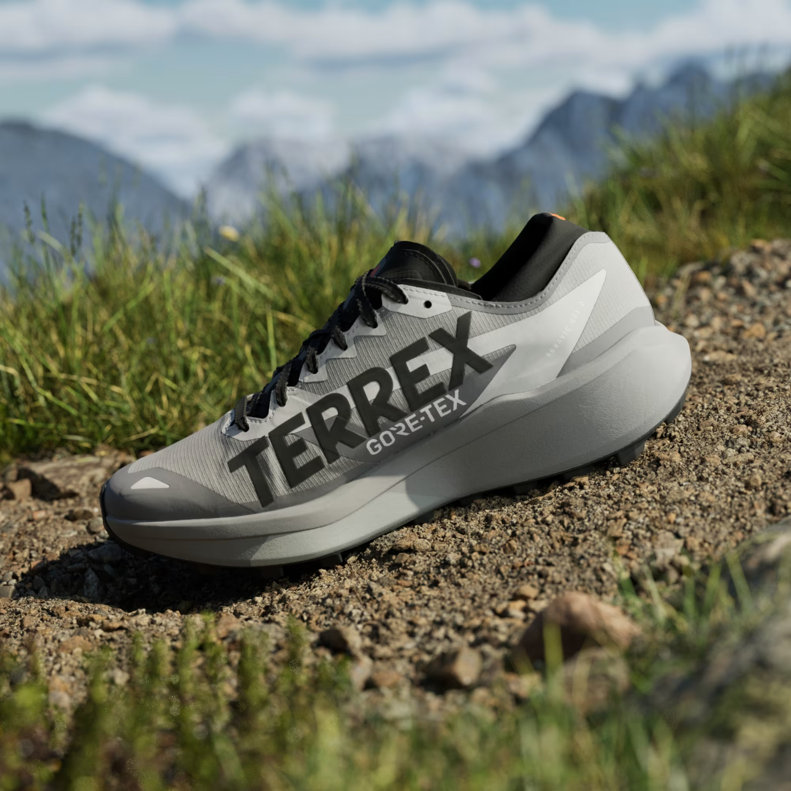 HQ5090 adidas Terrex Agravic GORE-TEX 2 Trail Running (Men's)
