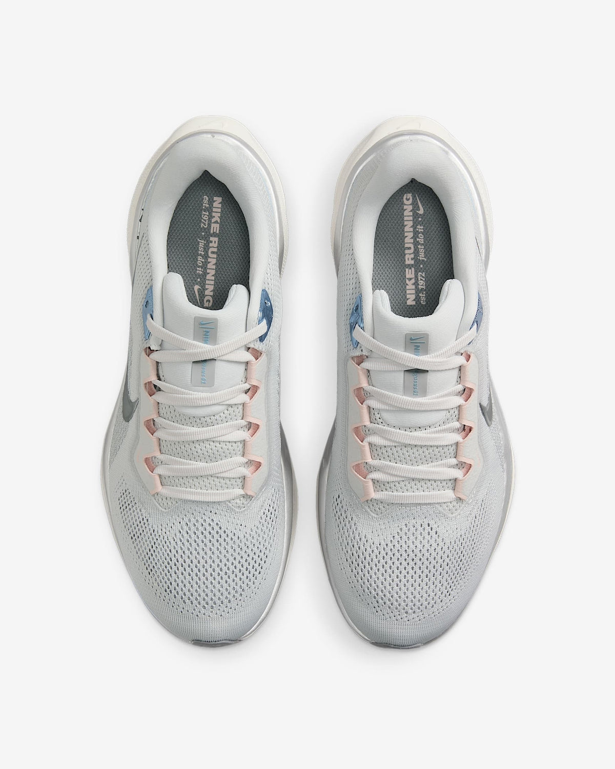 FD2723-007 Nike Pegasus 41 Photon Dust Sail Echo Pink Metallic Pewter (Women's)