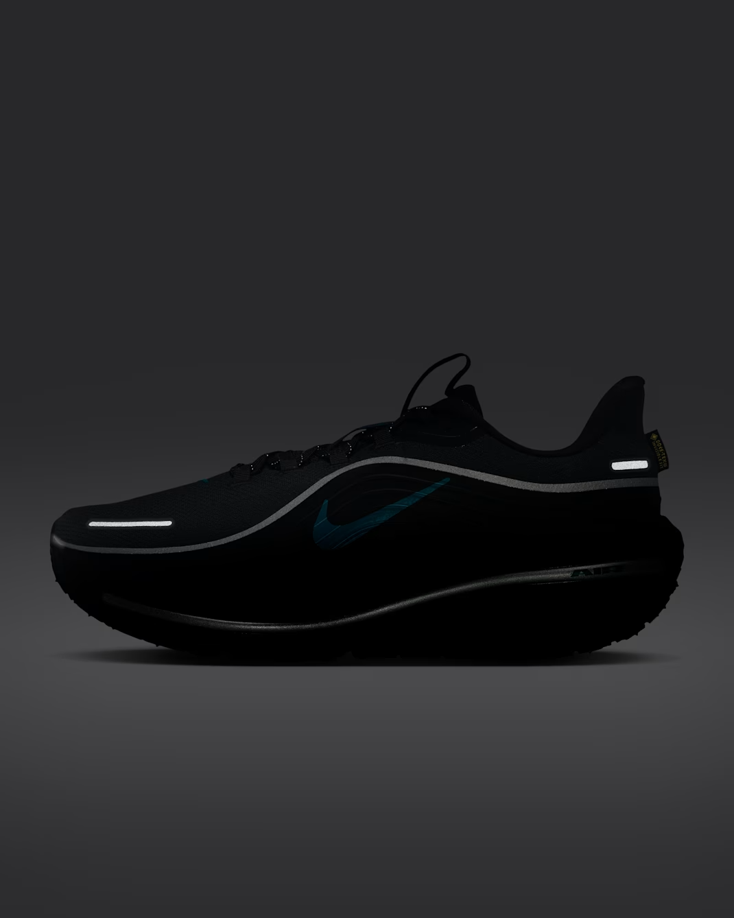 IO7953-002 Nike Winflo 12 GORE-TEX "Anthracite/Black" (Men's)