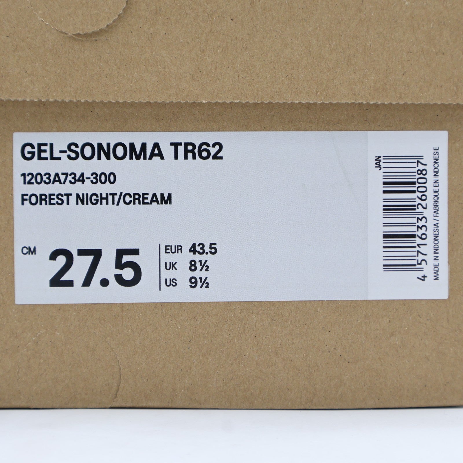 1203A734-300 Asics Gel-Sonoma TR62 Forest Night Cream (Men's)