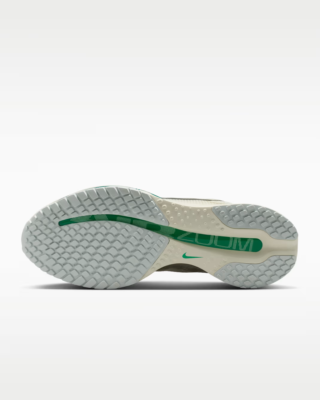 HQ2593-008 Nike Pegasus Premium Sea Glass Malachite (Women's)
