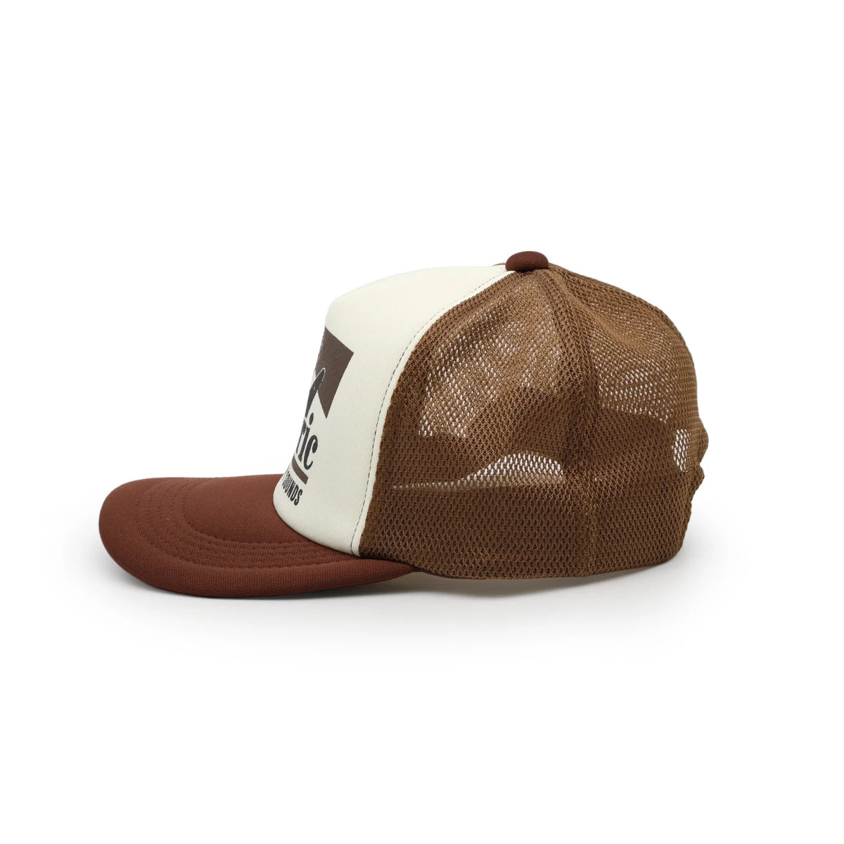 HYSTERIC GLAMOUR Guitar Girl Mesh Cap Brown