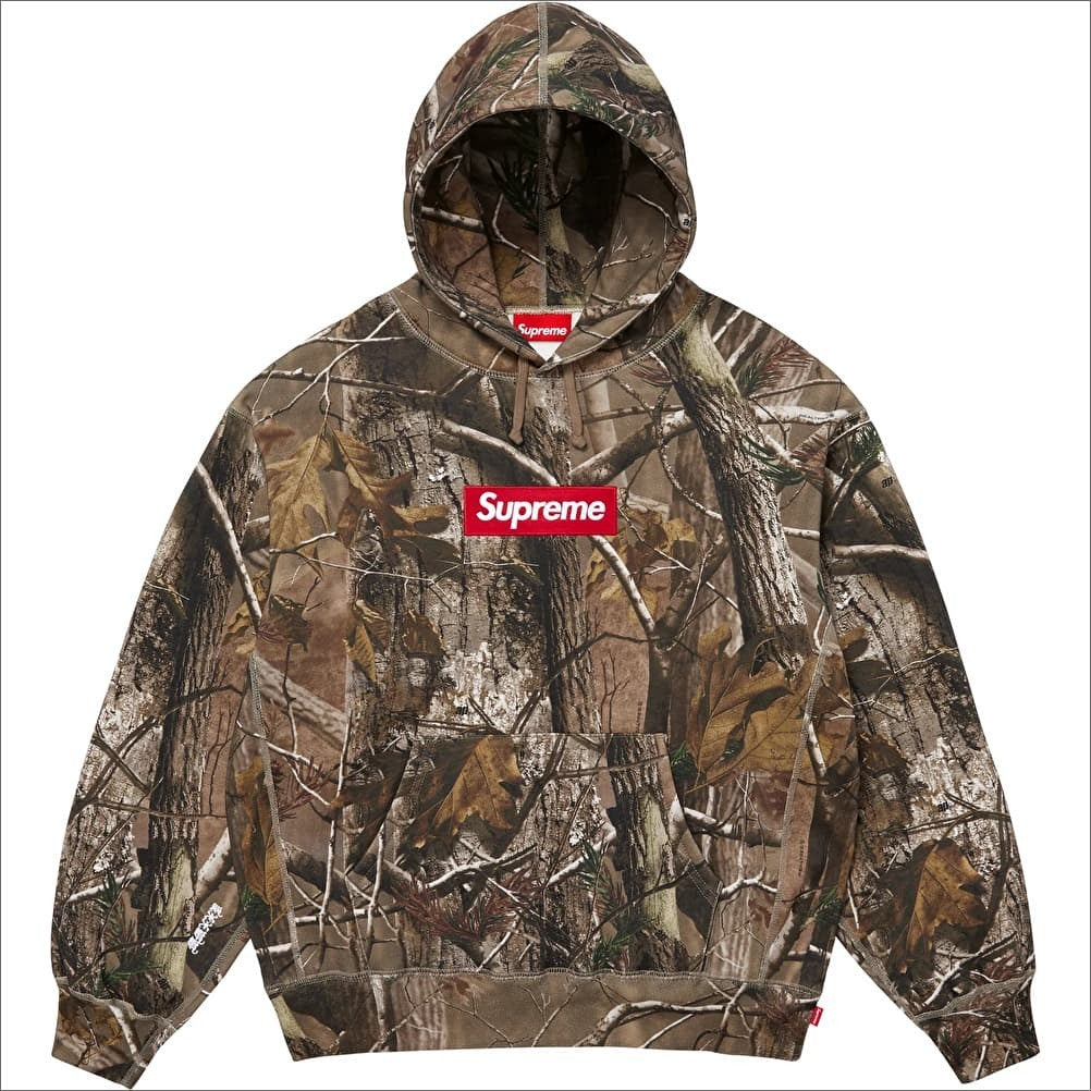 Supreme Box Logo Hooded Sweatshirt (25FW) Realtree AP Camo