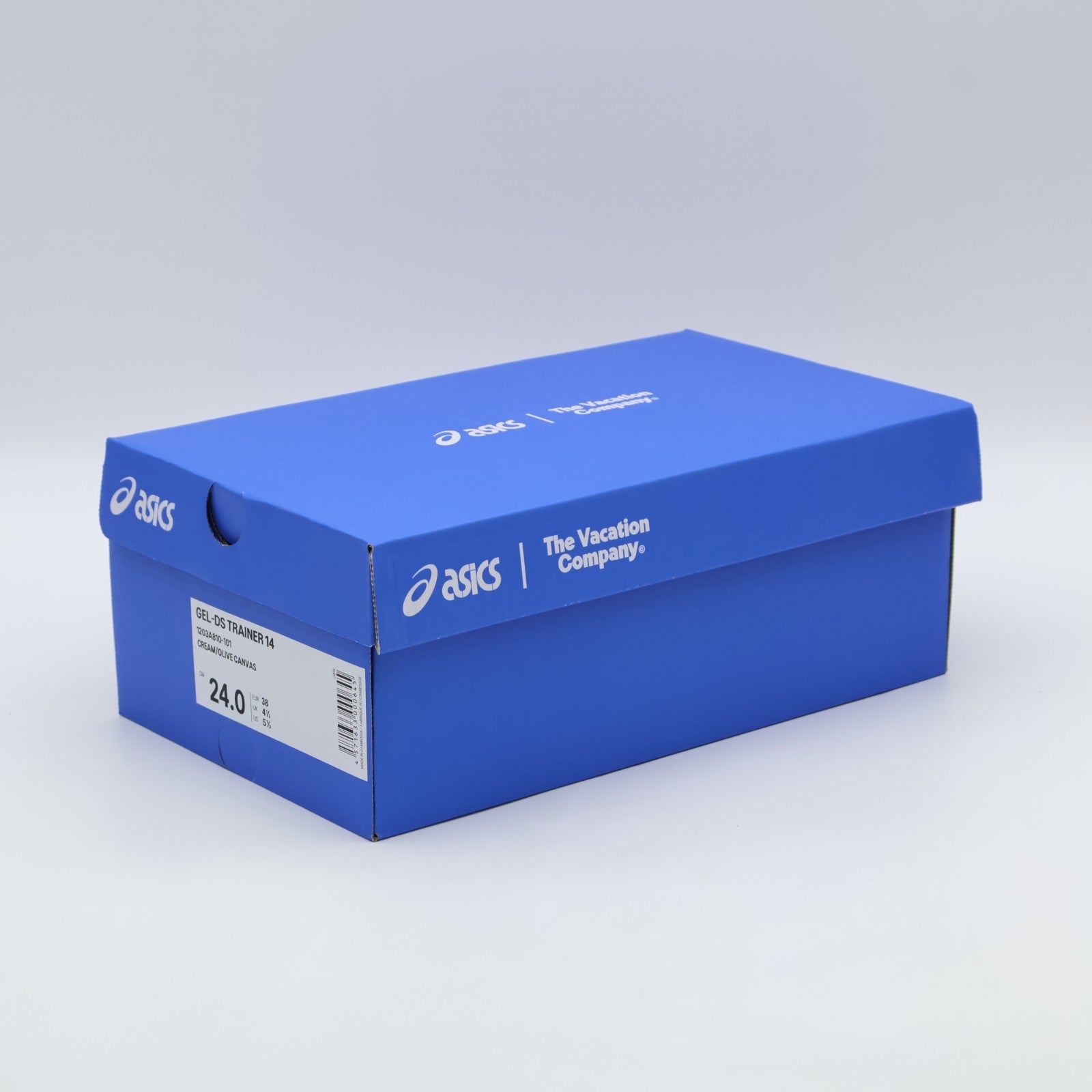 1203A810-101 Temptation Vacation Ã Asics Gel-DS Trainer 14 Cream  (Men's)