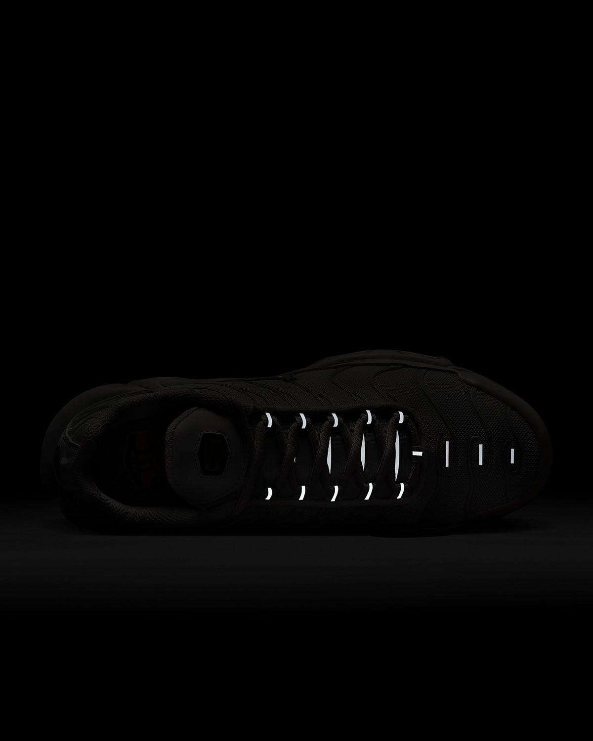 DM2362-102 Nike Air Max Plus Sail Black Alabaster (Women's)