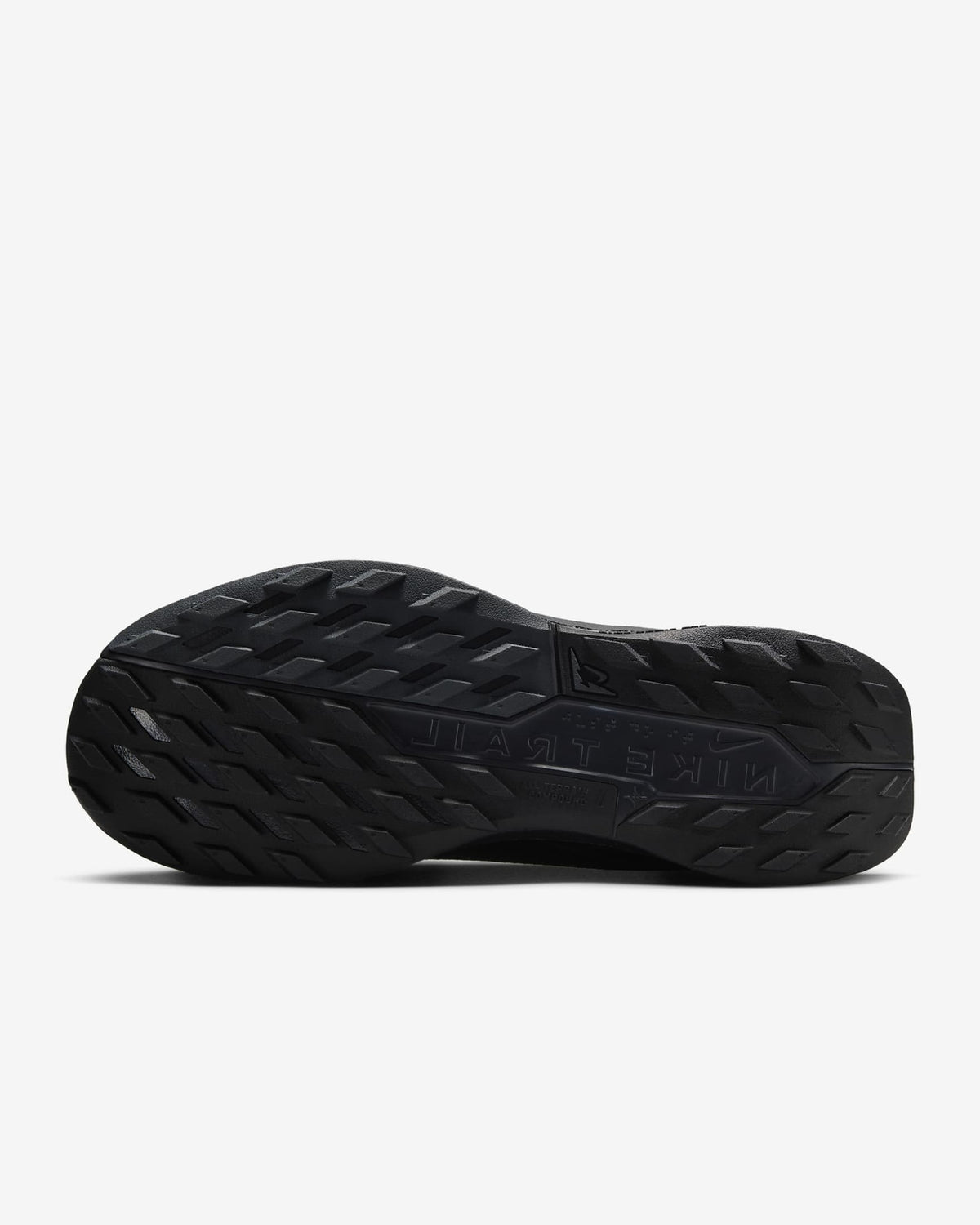 FQ0912-002 Nike Pegasus Trail 5 GORE-TEX Black Anthracite (Women's)