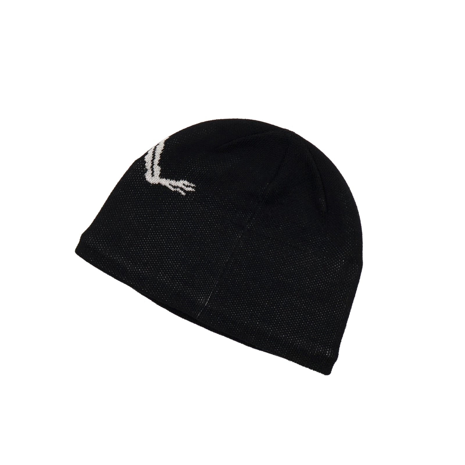 X000006756004 ARC'TERYX Bird Head Toque Orca