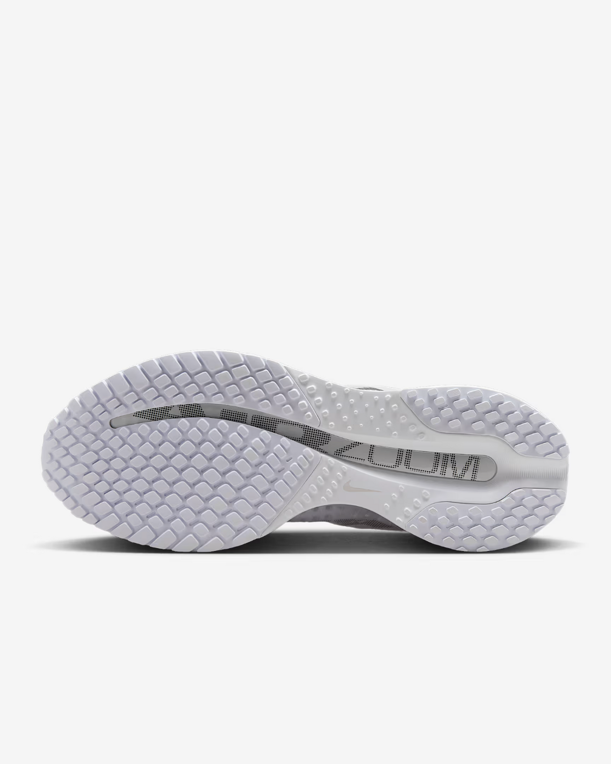 HQ2593-102 Nike Pegasus Premium White Metallic Silver Metallic Silver (Women's)