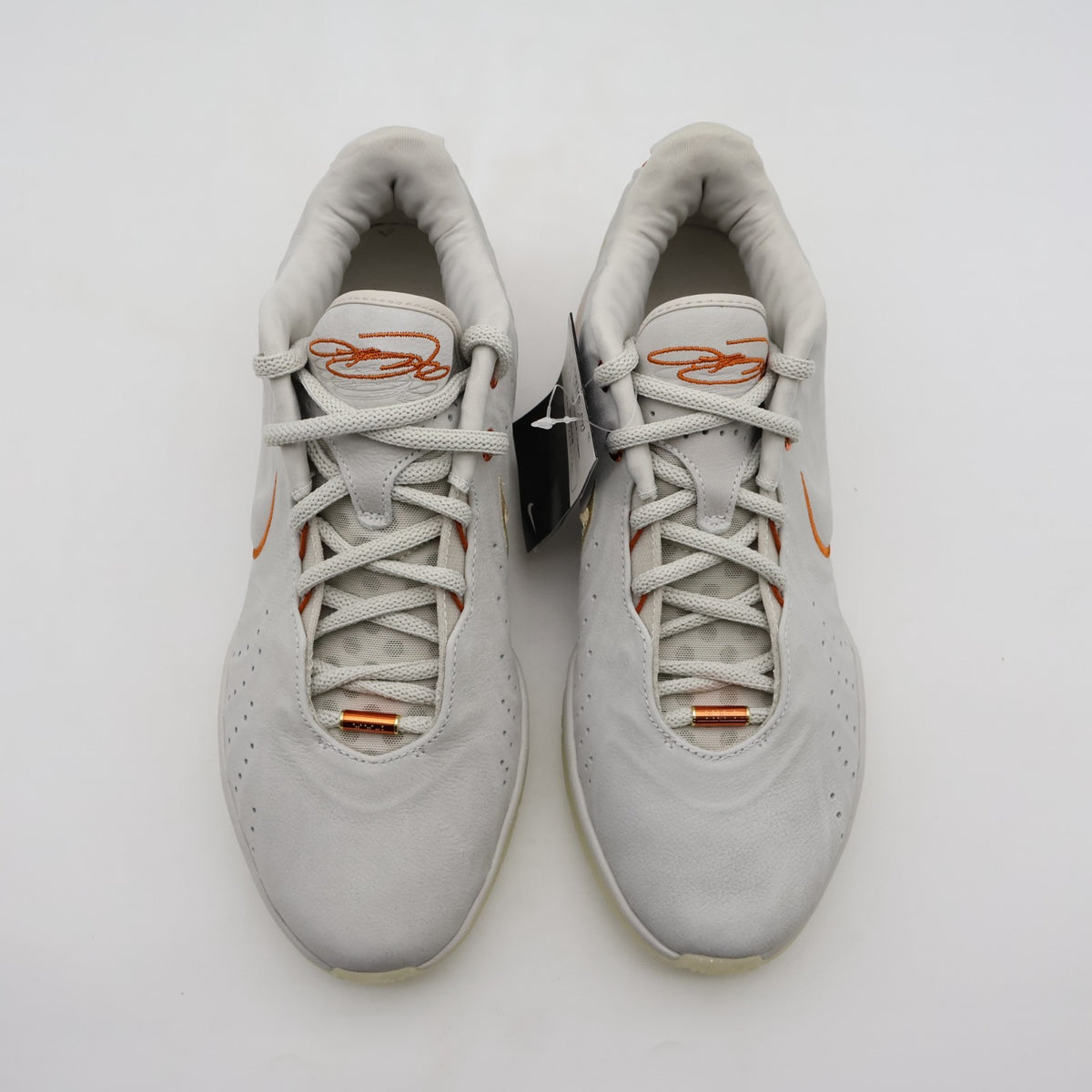 FV2345-001 Nike LeBron 21 Akoya (Men's)