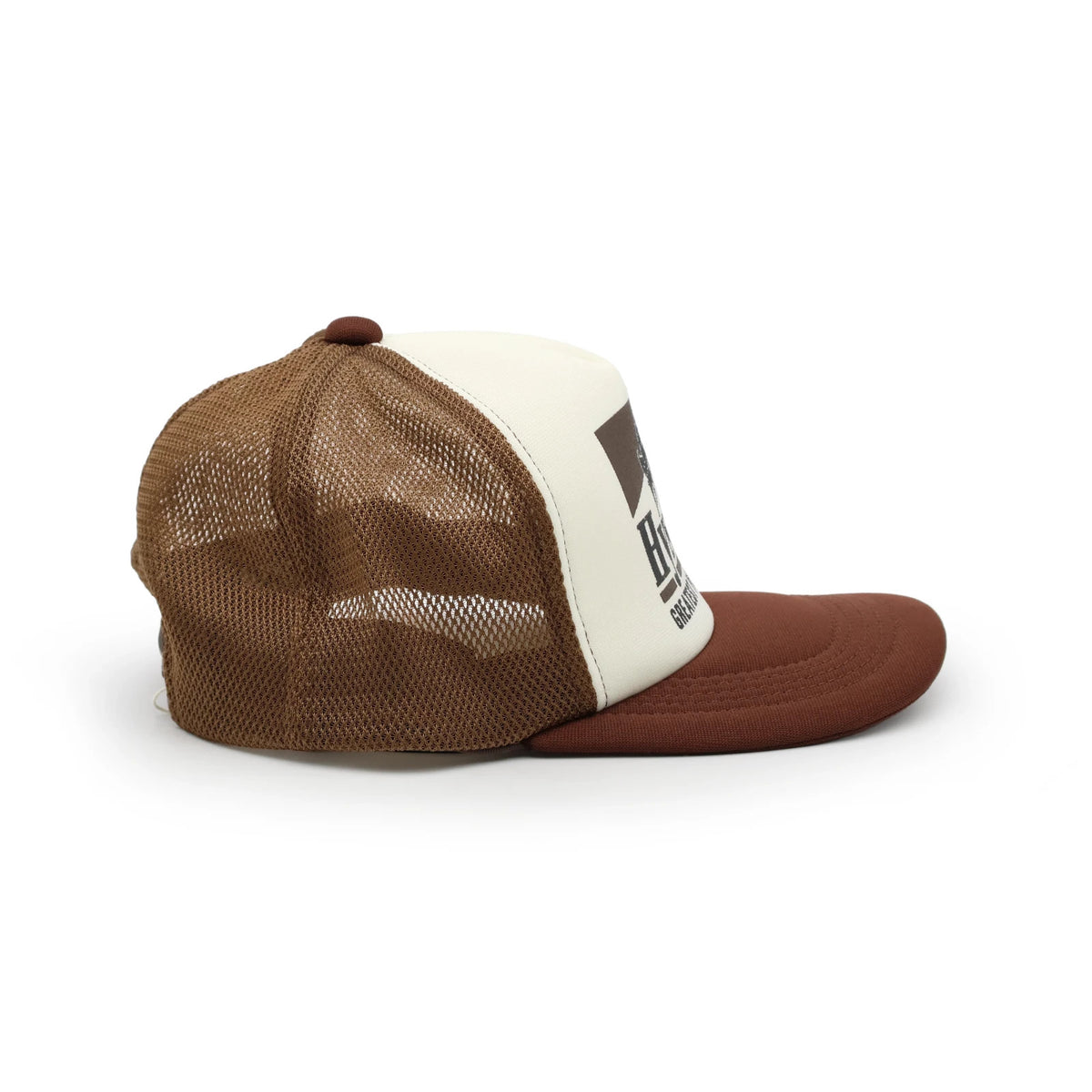HYSTERIC GLAMOUR Guitar Girl Mesh Cap Brown